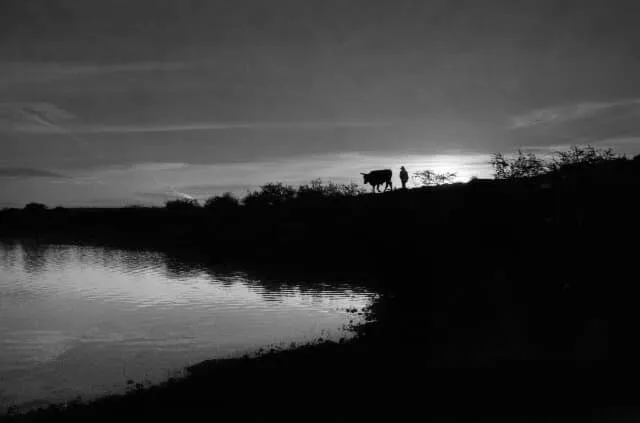 Paisaje blanco y negro 01