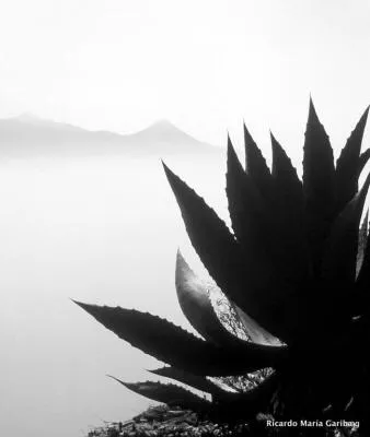 Paisaje blanco y negro 06