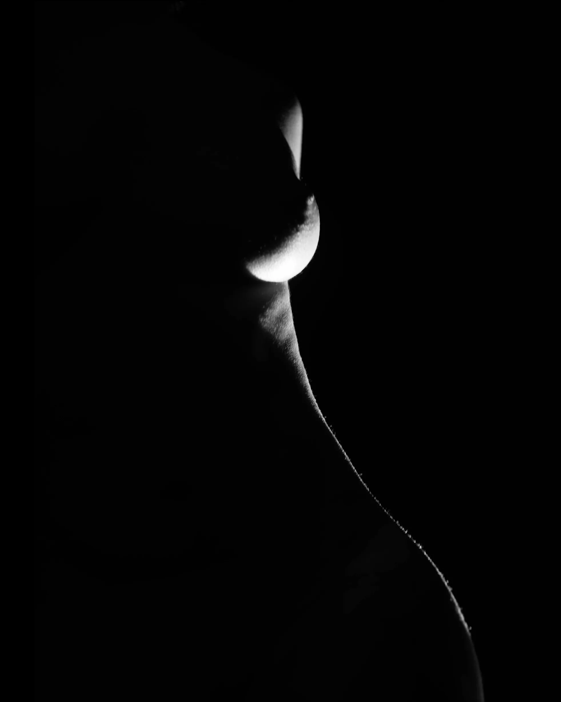 Trazos de Luz 08