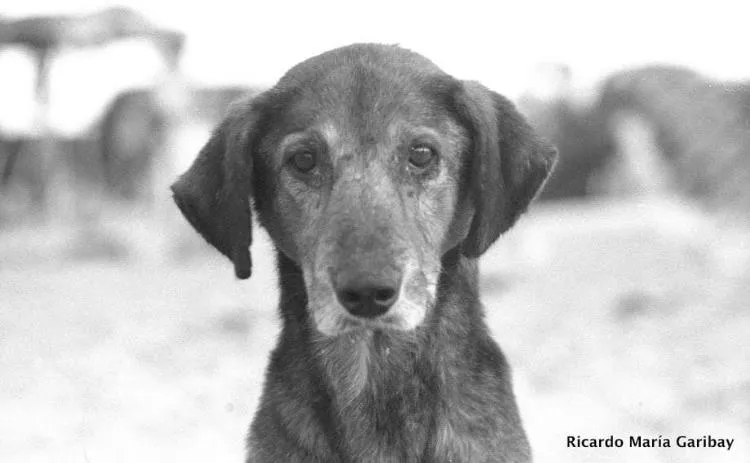 Retratos blanco y negro 10
